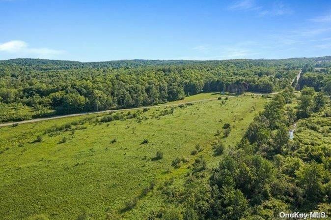 L8-111 Churches Rd Ridges Delanson, NY 12053 - Photo 25 of 29