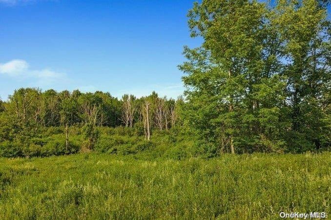 L8-111 Churches Rd Ridges Delanson, NY 12053 - Photo 26 of 29