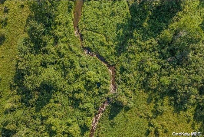 L8-111 Churches Rd Ridges Delanson, NY 12053 - Photo 27 of 29