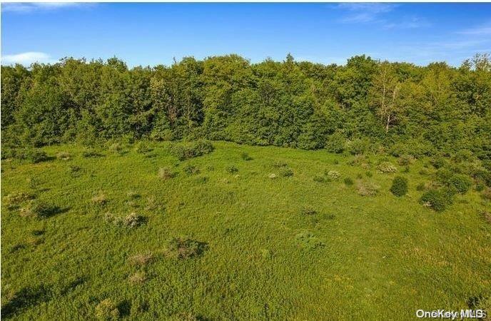 L8-111 Churches Rd Ridges Delanson, NY 12053 - Photo 3 of 29