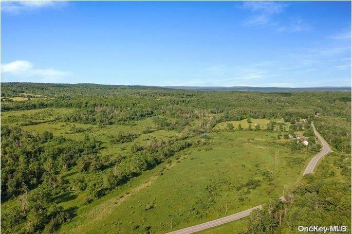 L8-111 Churches Rd Ridges Delanson, NY 12053 - Photo 6 of 29