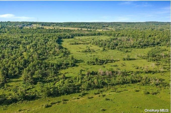 L8-111 Churches Rd Ridges Delanson, NY 12053 - Photo 8 of 29