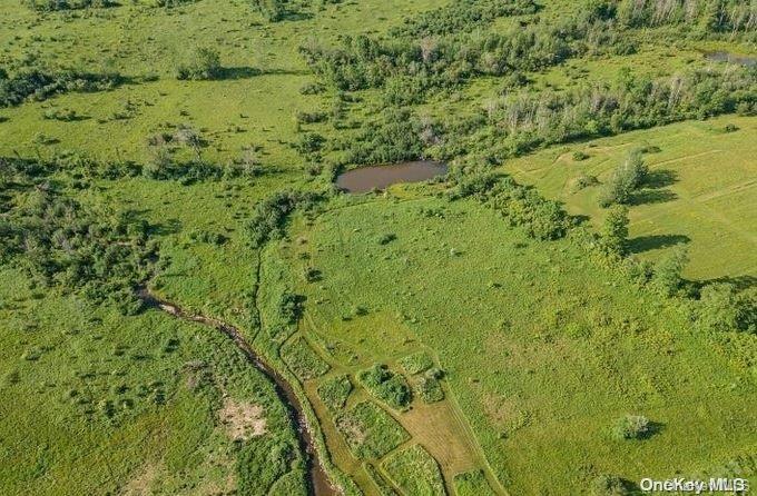 L8-111 Churches Rd Ridges Delanson, NY 12053 - Photo 9 of 29