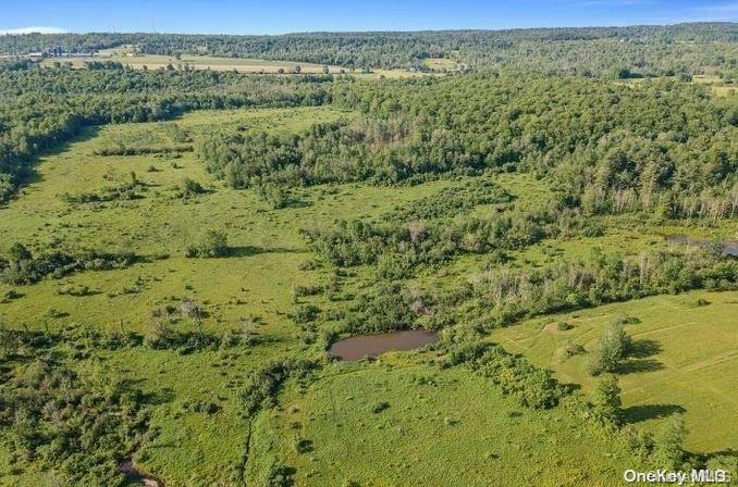 L8-111 Churches Rd Ridges Delanson, NY 12053 - Photo 10 of 29