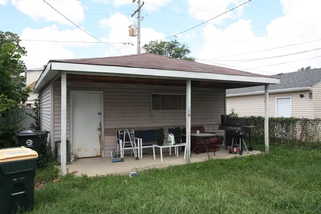 a view of a backyard with plants and large tree