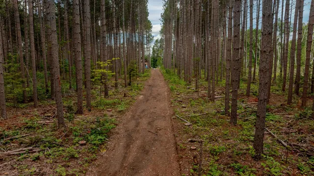 $675,000 | 2666 St Walker Mn 56484, Walker, MN 56484