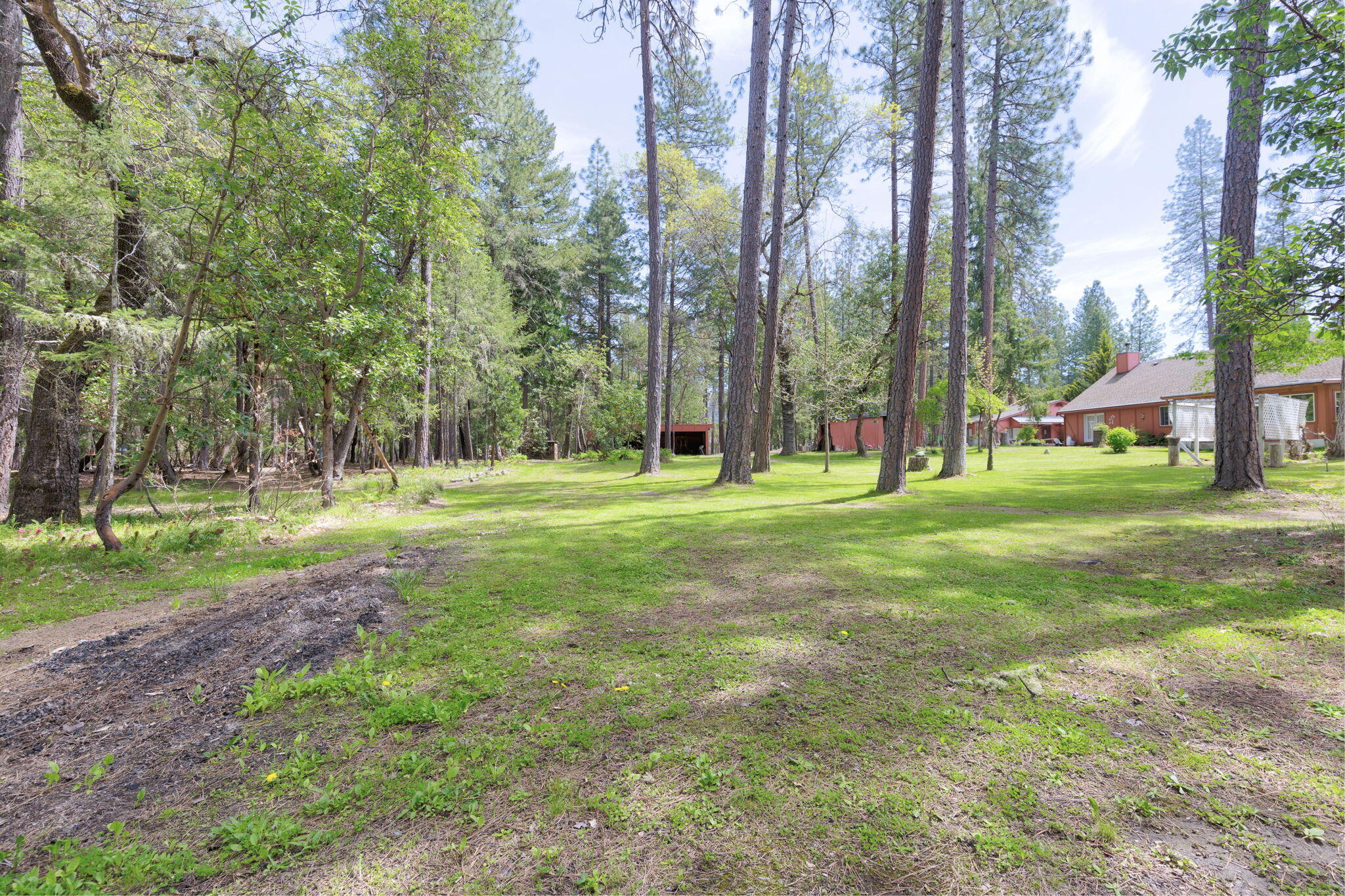 400 Latigo Ranch Road Williams, OR 97544 - Photo 53 of 90 Back lawn area