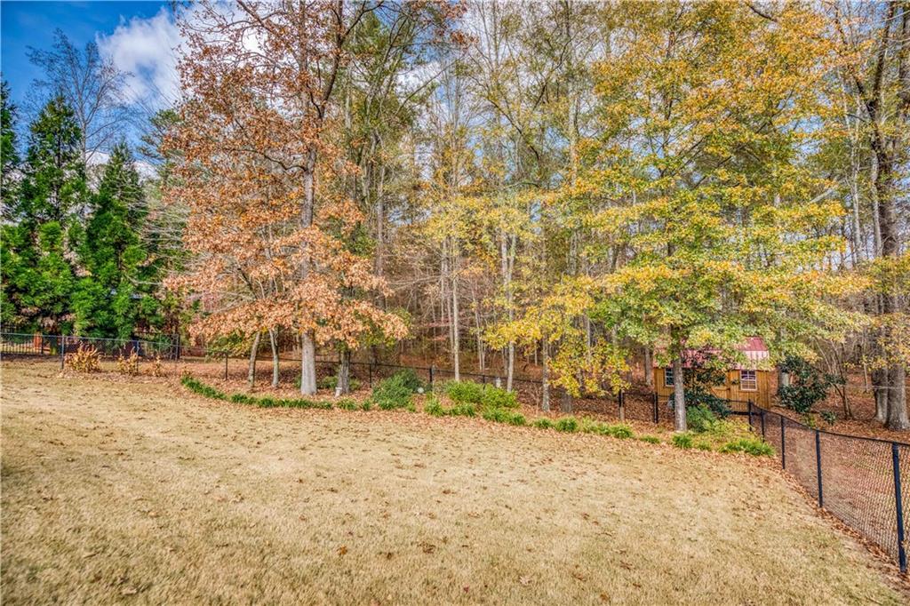 1461 Bradford Lane Monroe, GA 30656 - Photo 65 of 66 a backyard of a house with large trees