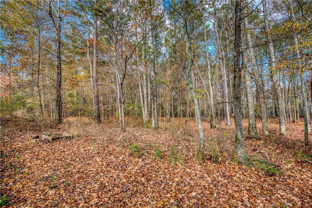 1461 Bradford Lane Monroe, GA 30656 - Photo 66 of 66