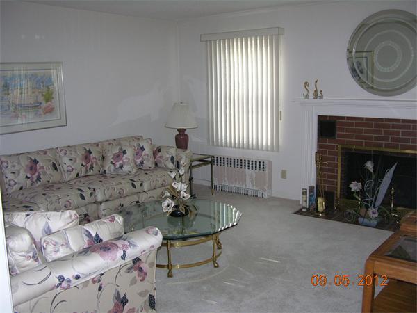 167 Redlands Street Springfield, MA 01104 - Photo 8 of 21 a living room with furniture and a fireplace
