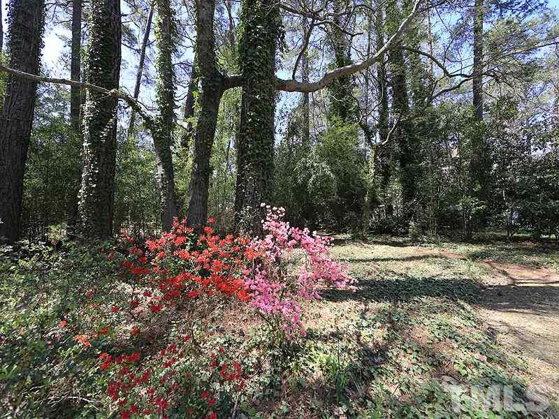 1616 Pineview Drive Raleigh, NC 27606 - Photo 2 of 18 Plenty of room to garden.