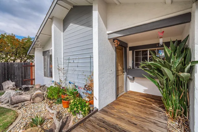 a potted plant sitting in front of a house
