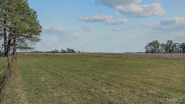 $115,900 | 1254 State Hwy F, Cardwell, MO 63829