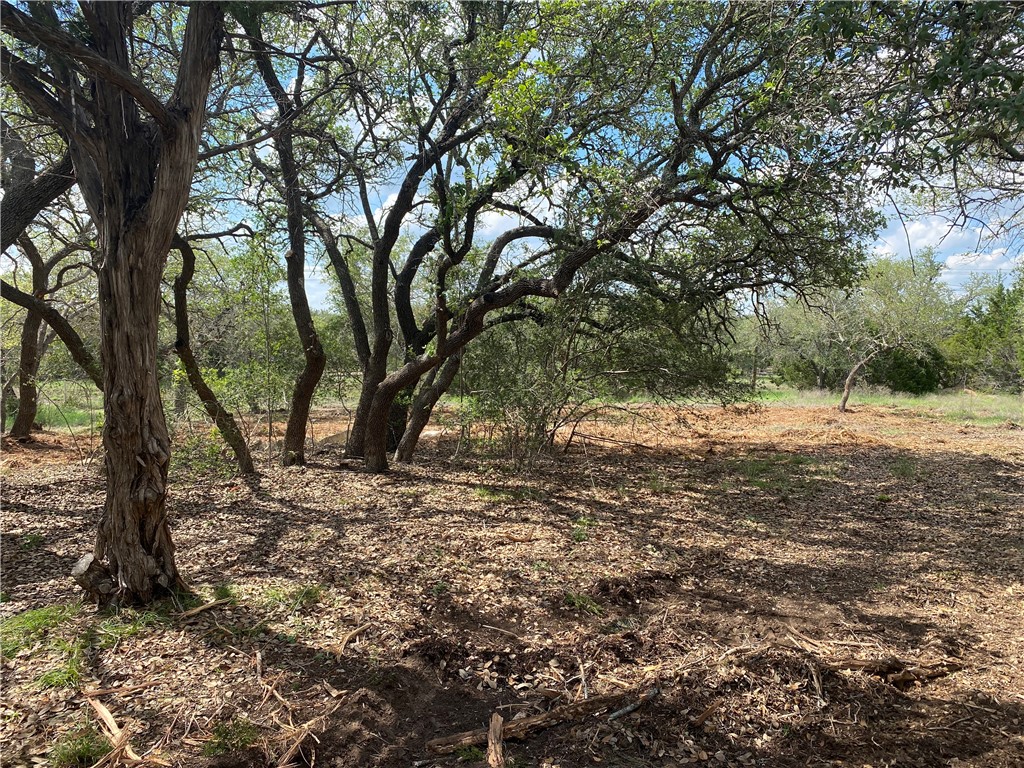 0 Ranch Road 12 Road Dripping Springs, TX 78620 - Photo 1 of 1 Beautiful oaks and understory trees!