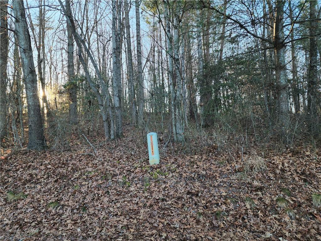 543 Fisher Valley Road Dobson, NC 27017 - Photo 44 of 48 Gallery Image 44