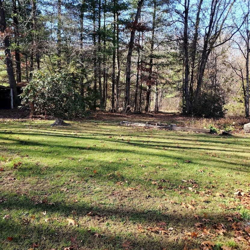 3978 Cold Springs Road, Unit 3 485 ACRES Raphine, VA 24472 - Photo 54 of 68 a view of a grassy field with trees