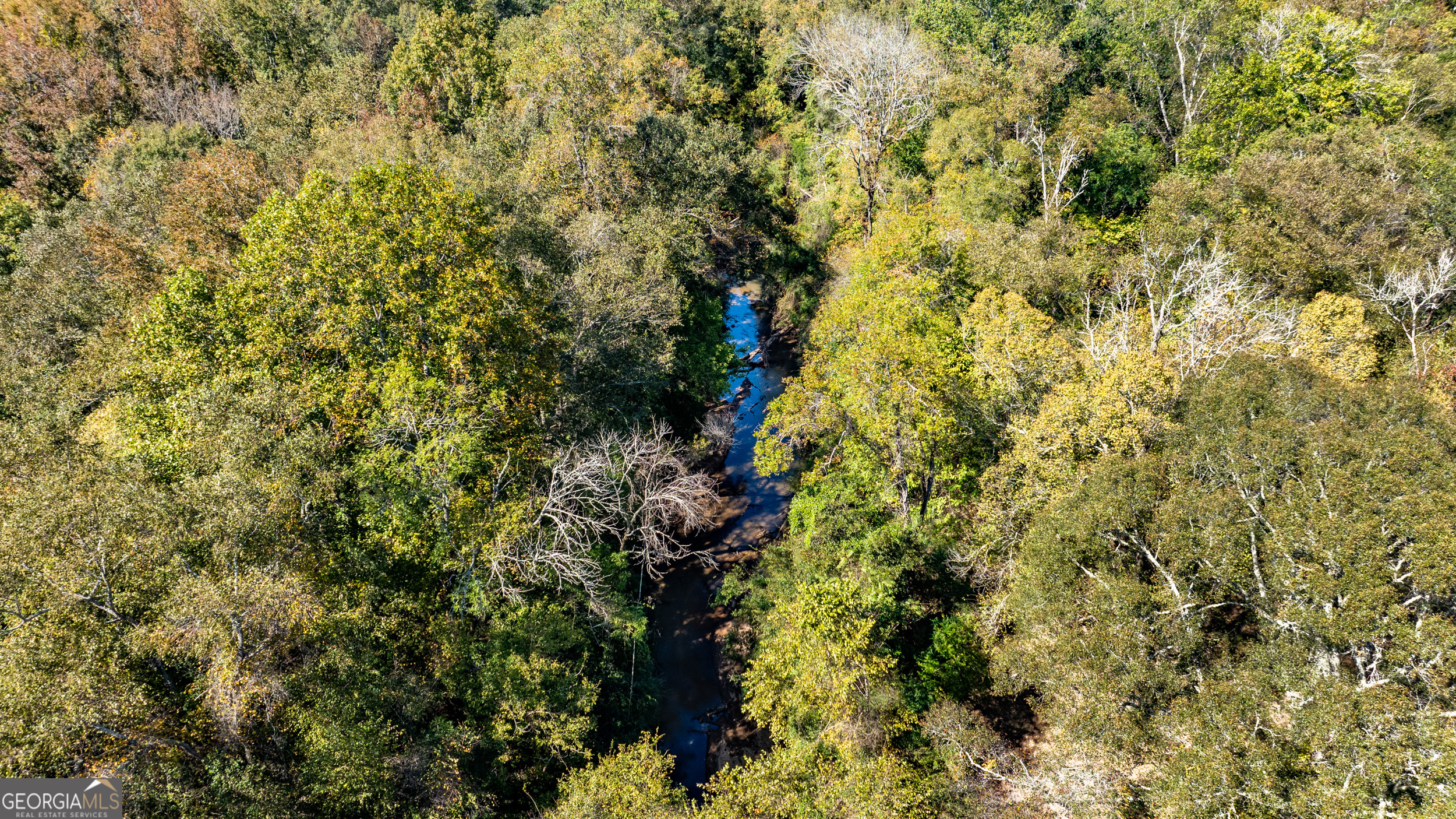 860 North Walker's Mill Road Griffin, GA 30223 - Photo 90 of 116
