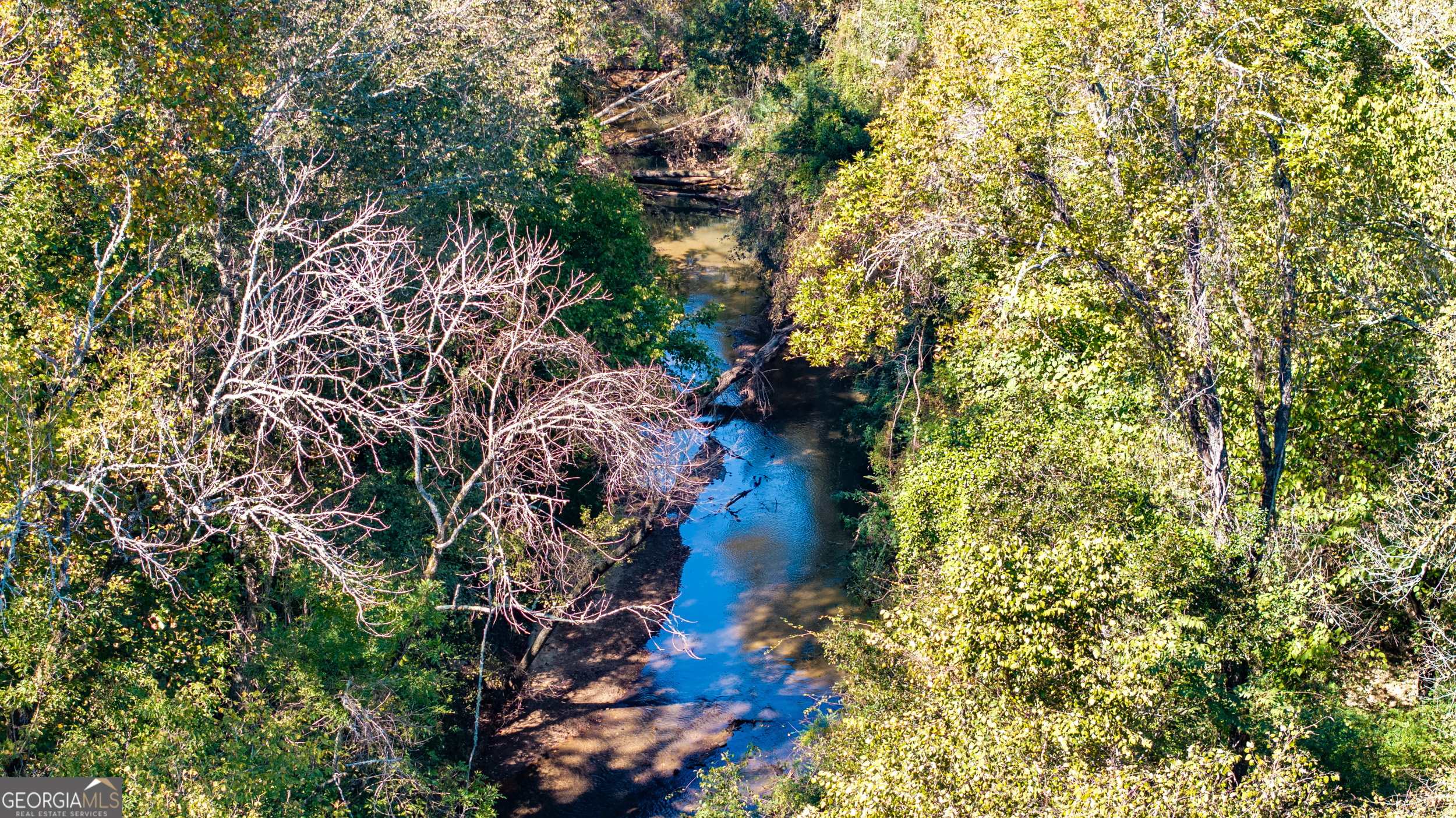 860 North Walker's Mill Road Griffin, GA 30223 - Photo 91 of 116 a view of a tree in a backyard of a house