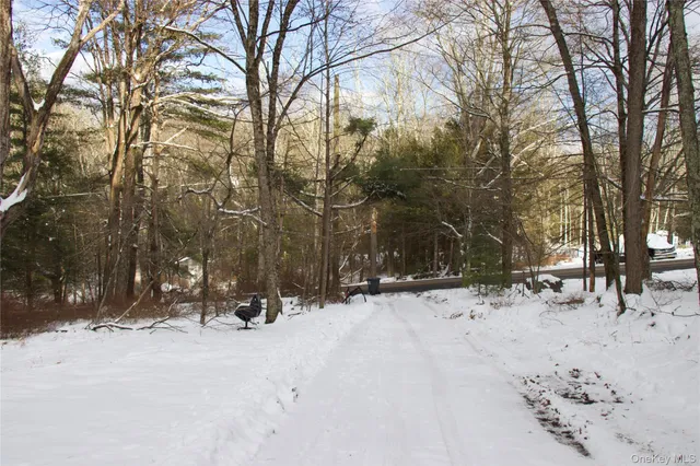 $425,000 | 741 Peenpack Trail, Sparrowbush, NY 12780