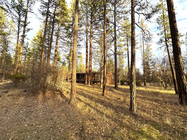 a view of a yard with a tree