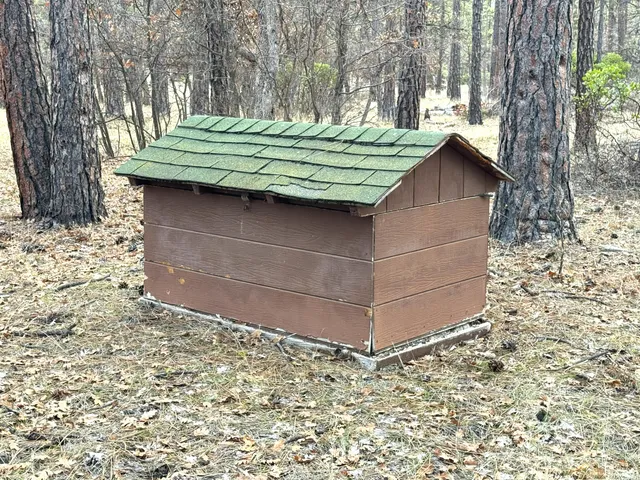 a view of a yard with a tree
