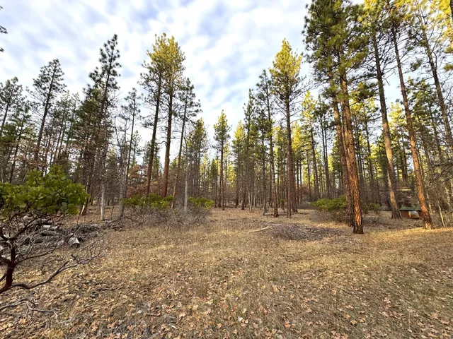 $135,000 | 39477 Crane Road, Cassel, CA 96016