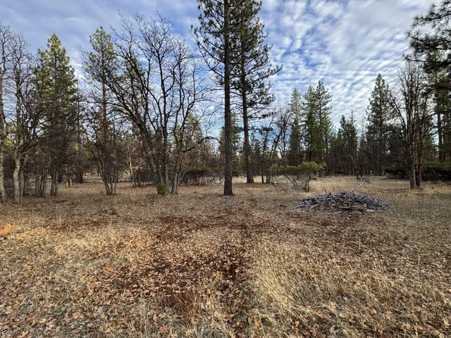 a view of outdoor space with trees