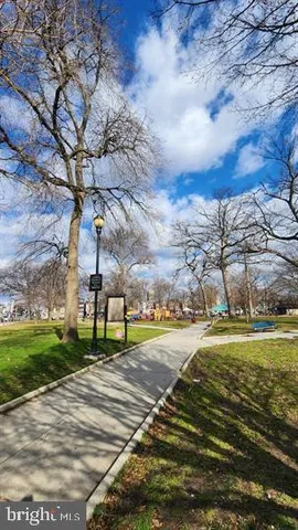 a park view with a bench