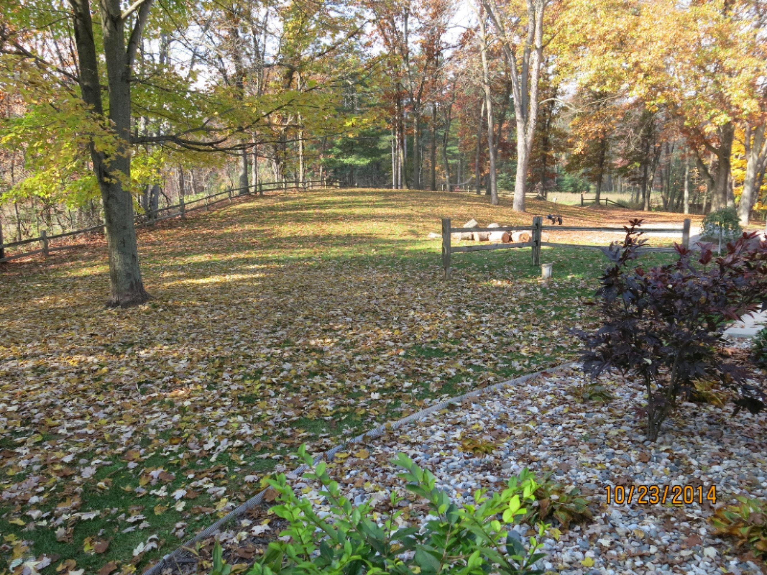 7420 Moe Road Middleville, MI 49333 - Photo 3 of 35 Front Yard