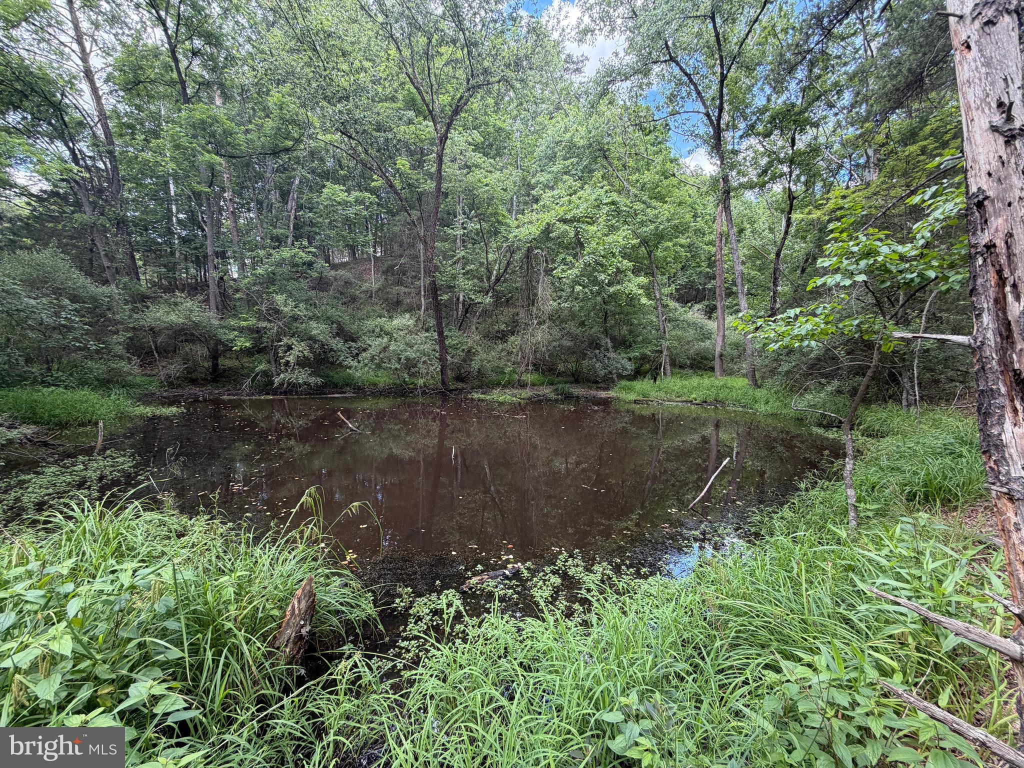 0 Headsville Road Keyser, WV 26726 - Photo 4 of 24
