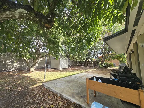 a view of a backyard with a tree