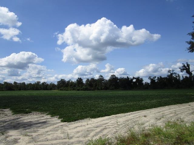 Xxx Xxx Bateau Road Grand Ridge, FL 32442 - Photo 8 of 9