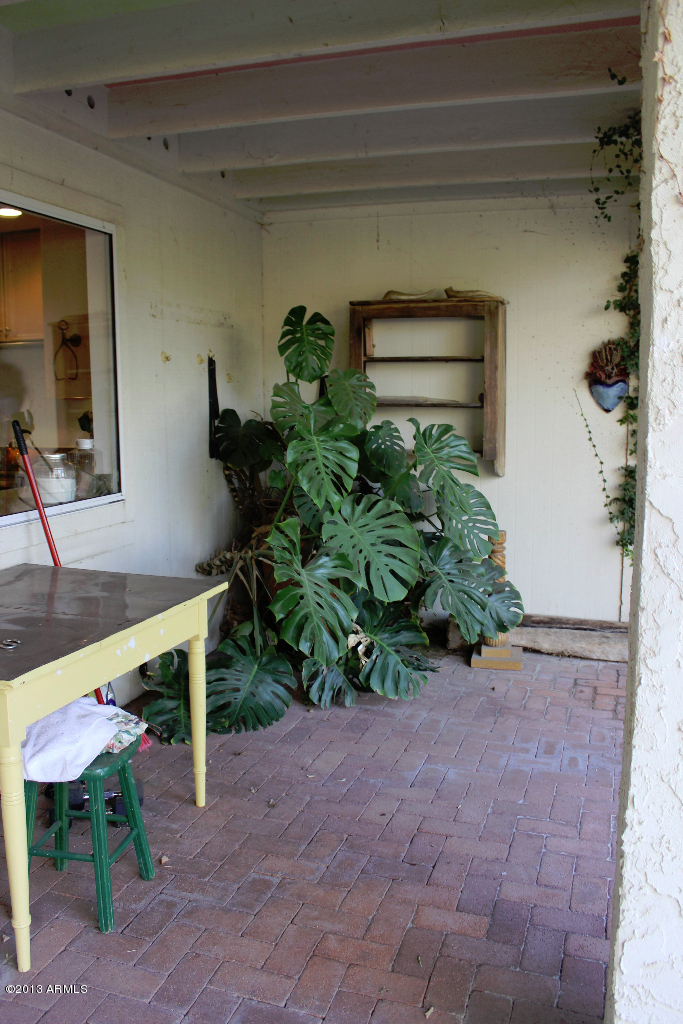 3372 East Hatcher Road Phoenix, AZ 85028 - Photo 50 of 82 Back patio