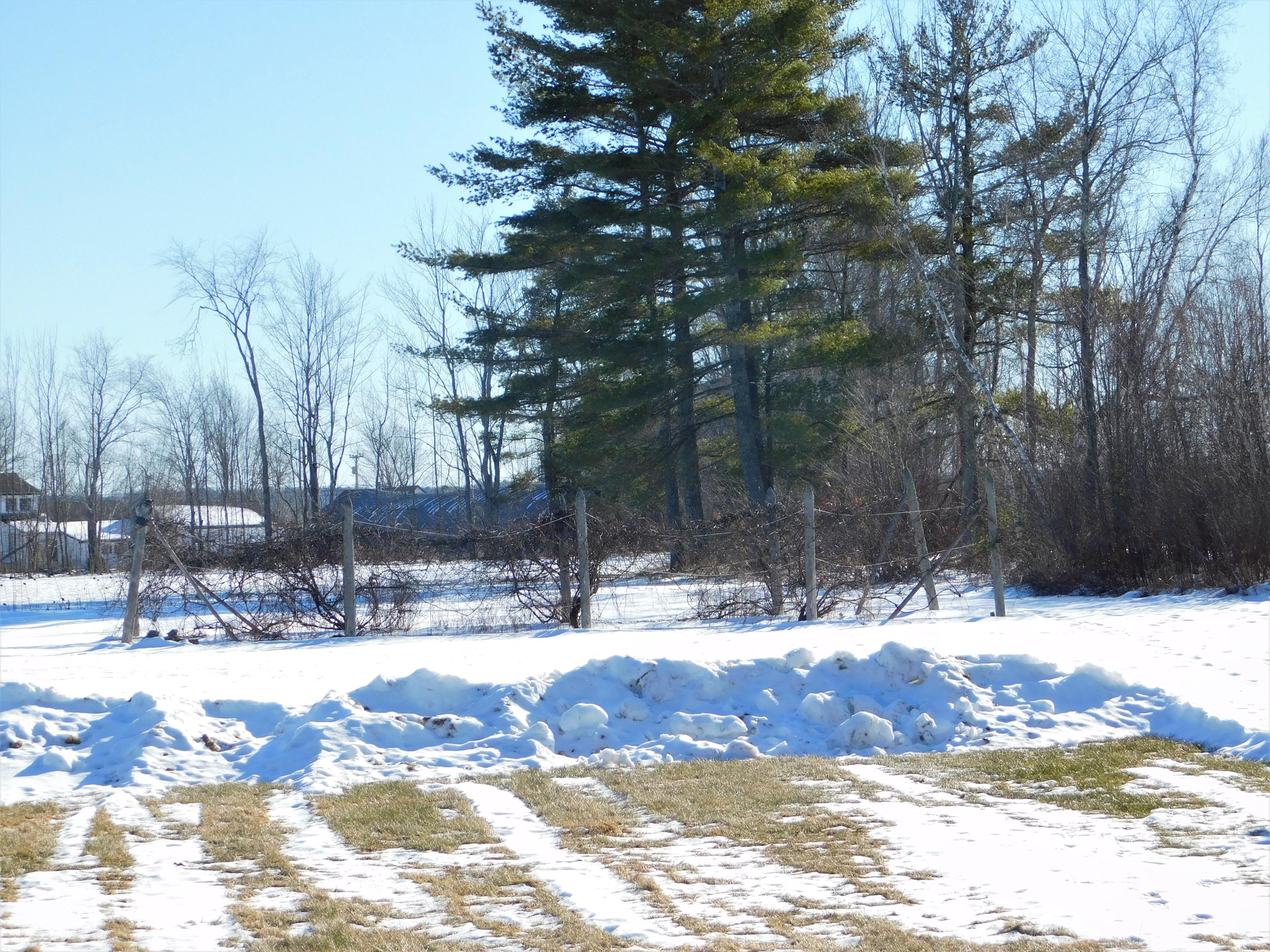 10 Oxbow Road Palmyra, ME 04965 - Photo 125 of 133 Grapes