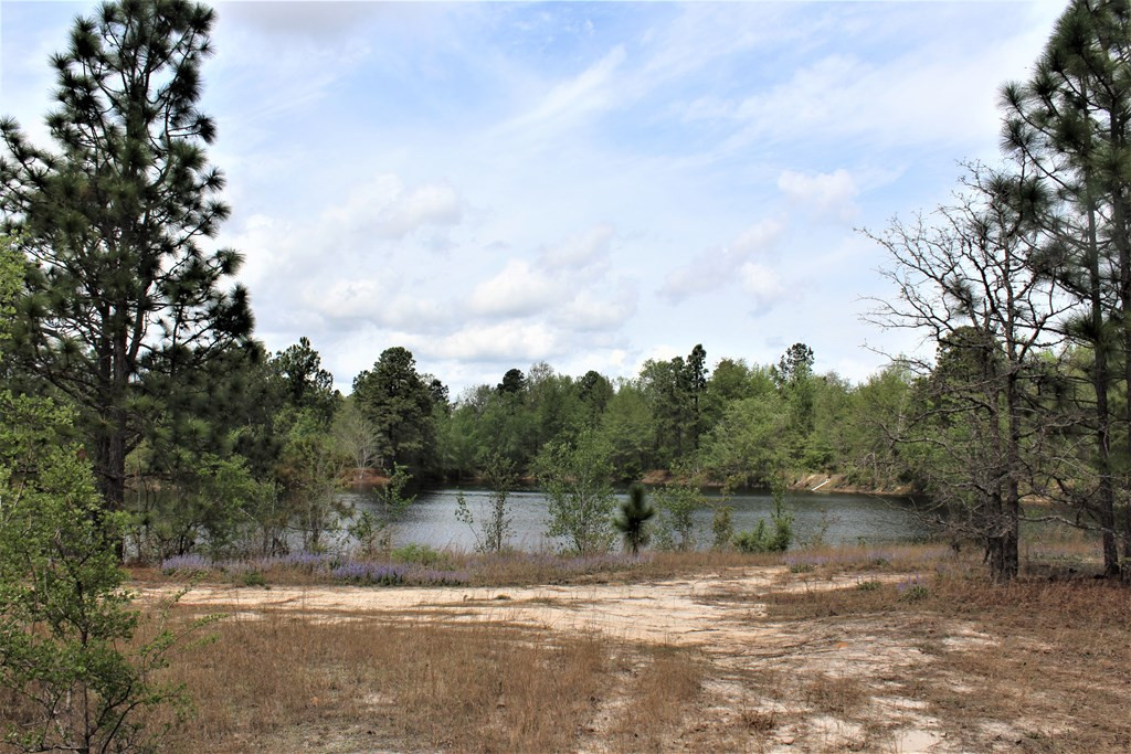 464 Webbs Pond Road Williston, SC 29853 - Photo 3 of 17