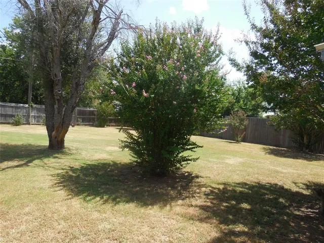 a view of a yard with trees