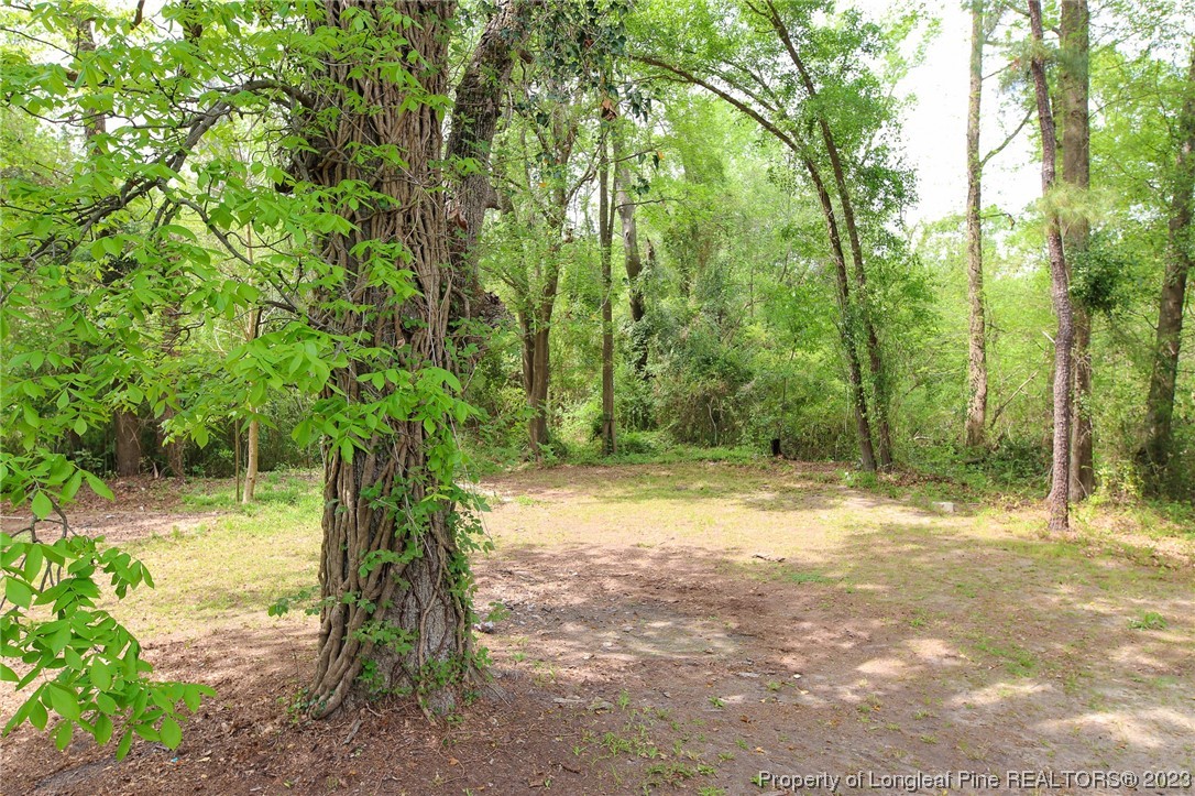 782 Horne Road Rowland, NC 28383 - Photo 24 of 27 a backyard of a house with lots of green space