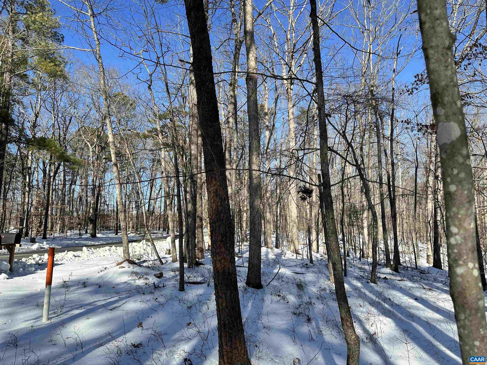 2 Beaverdam Road, Unit 2 Keswick, VA 22947 - Photo 2 of 7 a view of outdoor space with lots of trees
