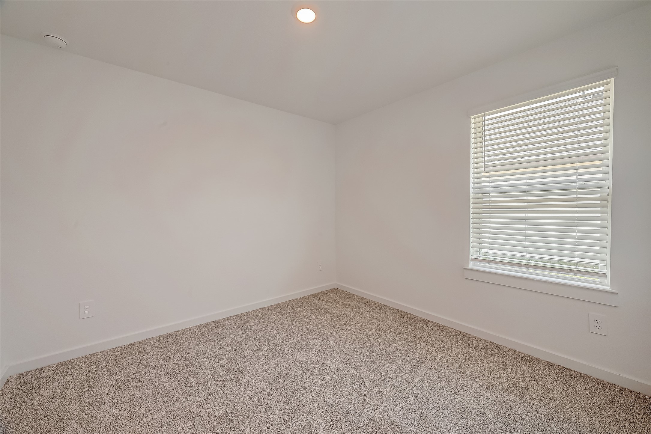 1018 Fringed Bluestar Drive Rosharon, TX 77583 - Photo 25 of 47