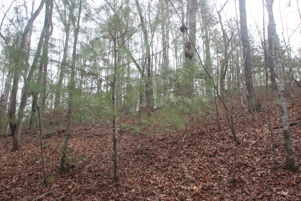 633 R Nugget Lane Ellijay, GA 30540 - Photo 13 of 16 Gallery Image 13