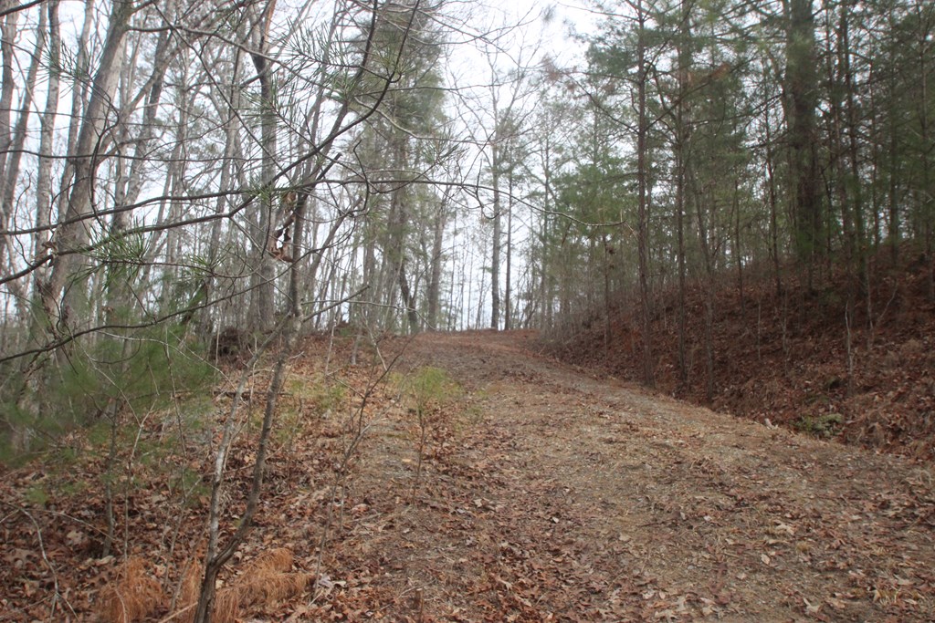 633 R Nugget Lane Ellijay, GA 30540 - Photo 4 of 16 Gallery Image 4