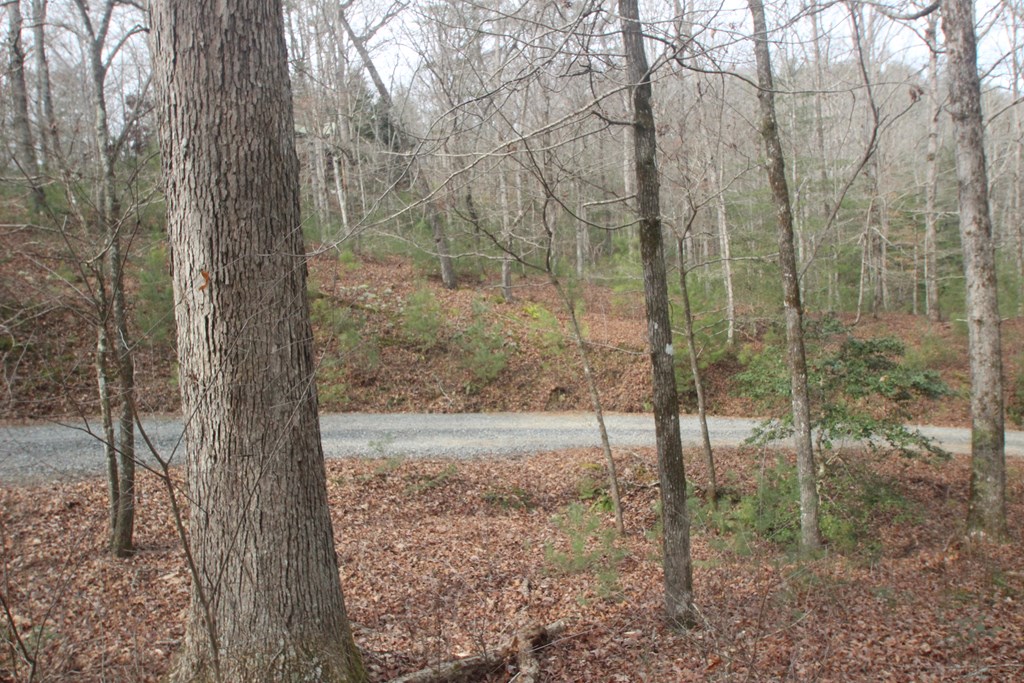 633 R Nugget Lane Ellijay, GA 30540 - Photo 7 of 16 Gallery Image 7