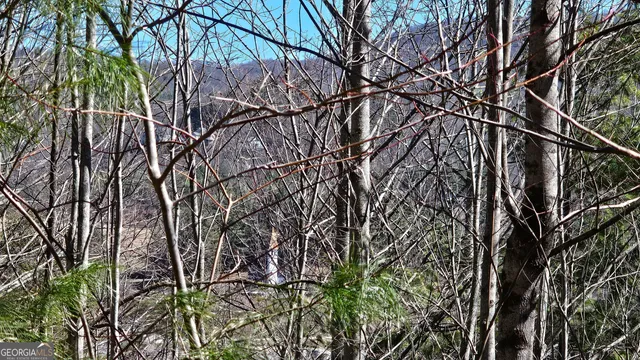 a backyard of a house with lots of green space and a trees