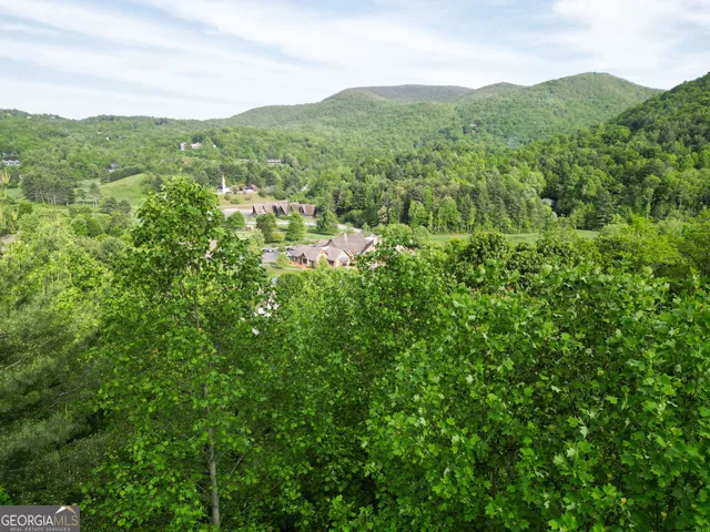 a view of a lush green hillside and houses