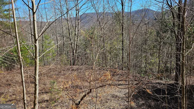 a view of a pathway of a building