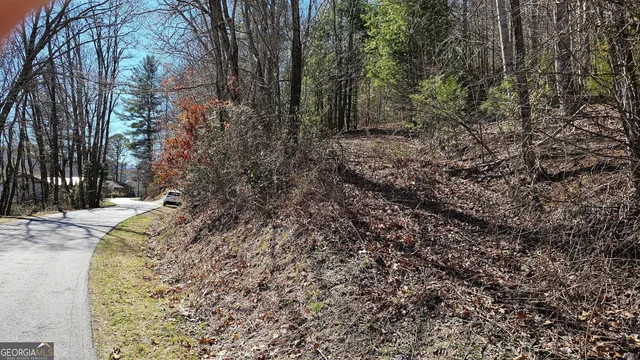 a view of a yard with plants and trees