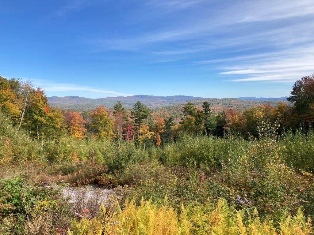 Kinsman Road Grafton, NH 03240 - Photo 5 of 35 Gallery Image 5