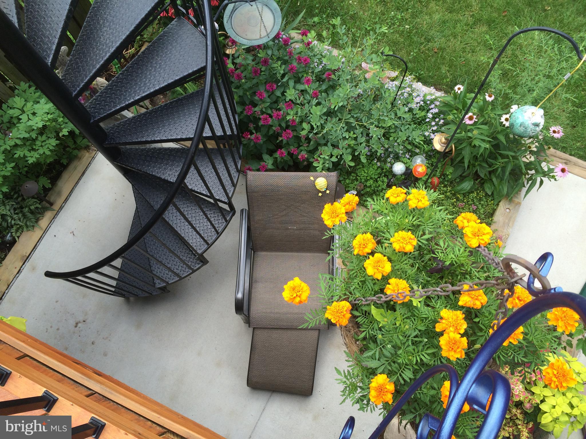43535 Postrail Square Ashburn, VA 20147 - Photo 40 of 47 Back yard in full summer bloom