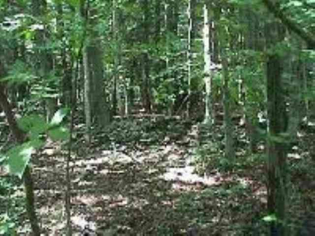 2180 A Thousand Acres Road Delanson, NY 12053 - Photo 1 of 1 Photo 1