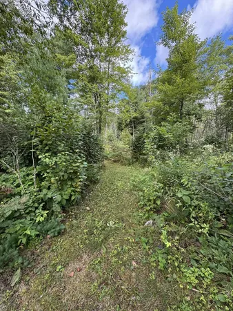 $647,000 | E1501 Penny Lane, Iola, WI 54945